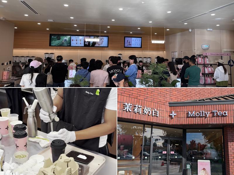 Molly Tea(Sunnyvale)