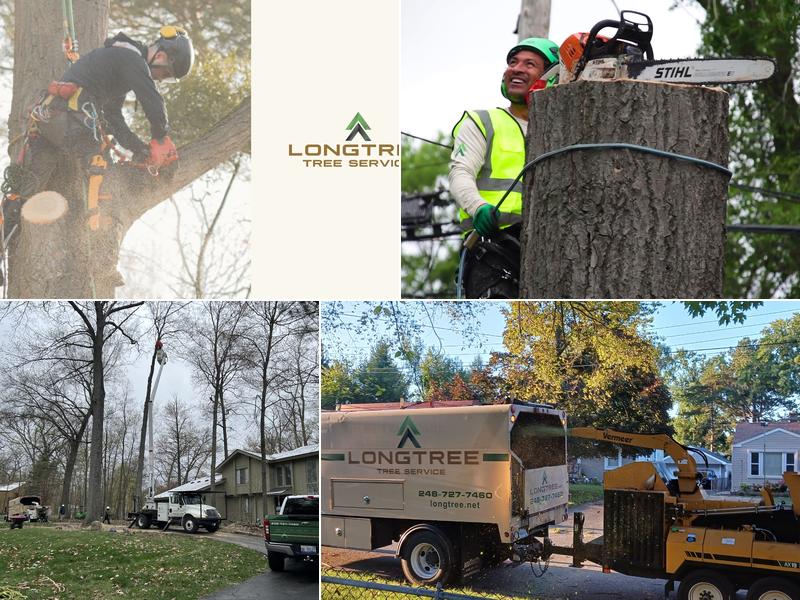 Longtree Tree Service