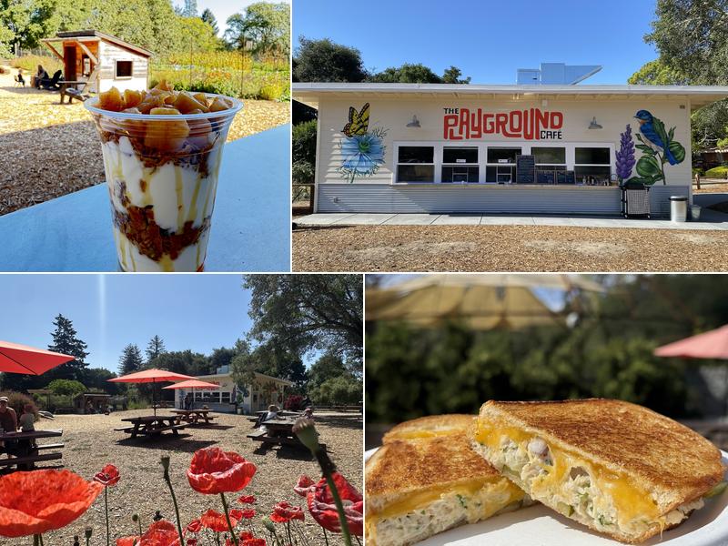 The Playground 500 Robinson Rd, Sebastopol