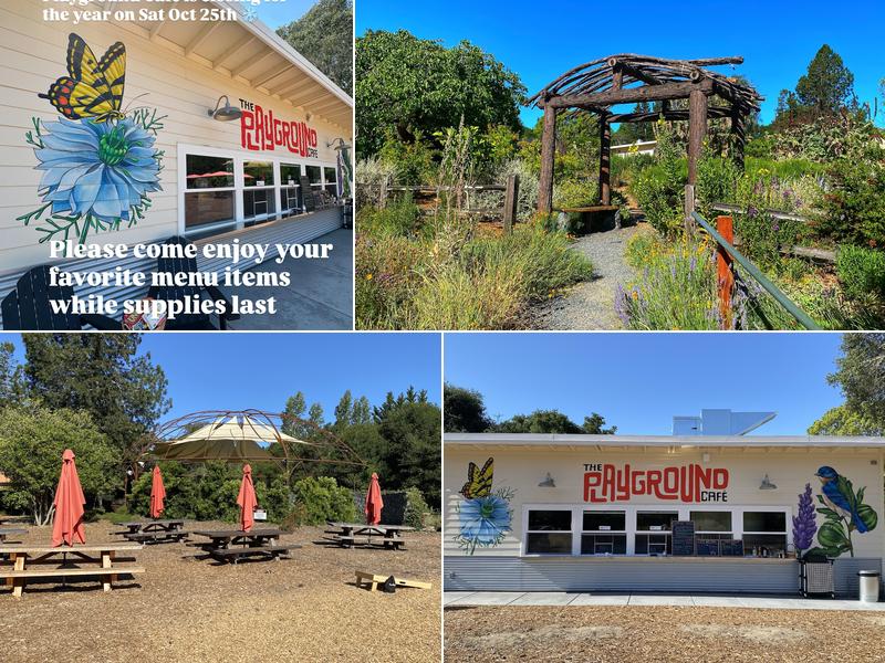 The Playground 500 Robinson Rd, Sebastopol