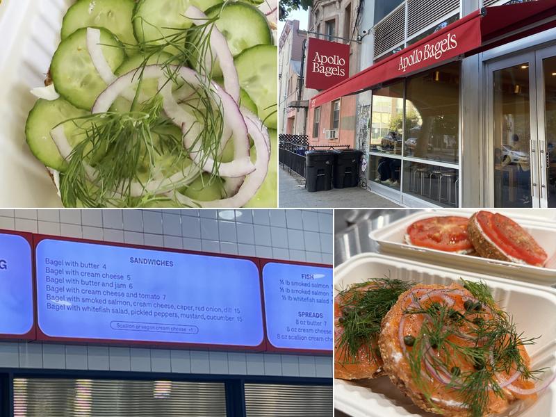 Apollo Bagels