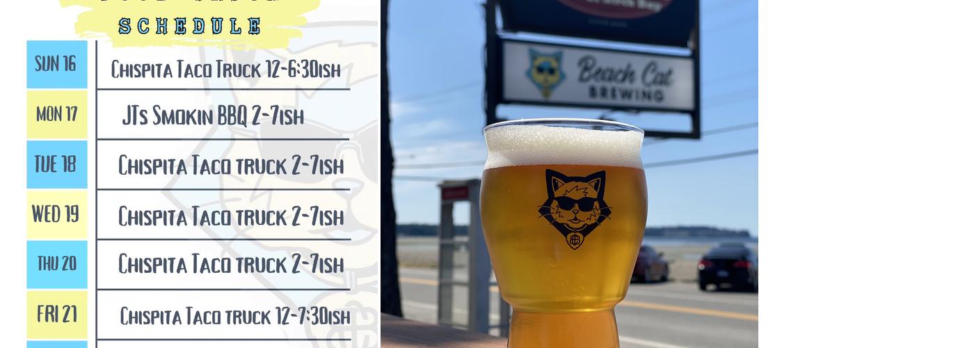 Beach Cat Brewing Menu