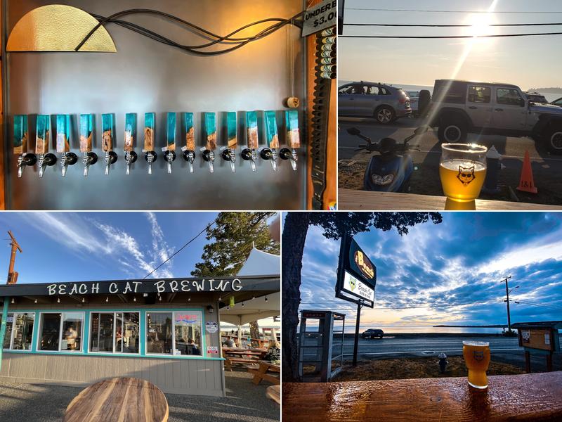 Beach Cat Brewing 7876 Birch Bay Dr #101, Blaine