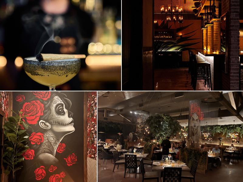 Mezcal 292 County Rd 516, Old Bridge