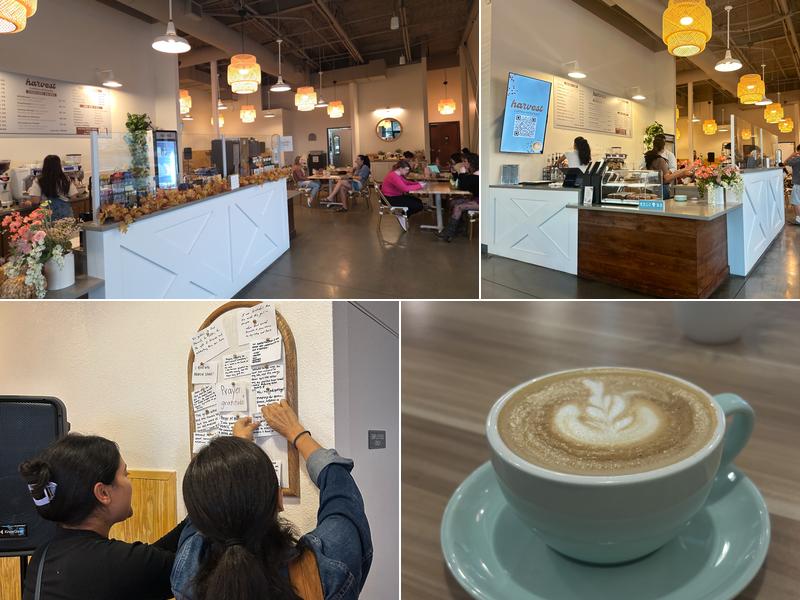 Harvest Coffee + Kitchen