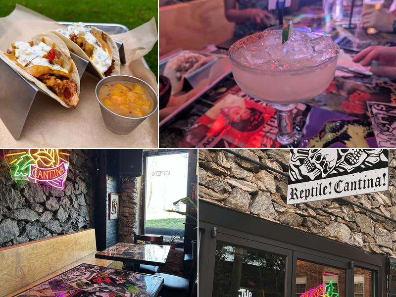 The Reptile Cantina 108 E Meeting St unit b, Morganton