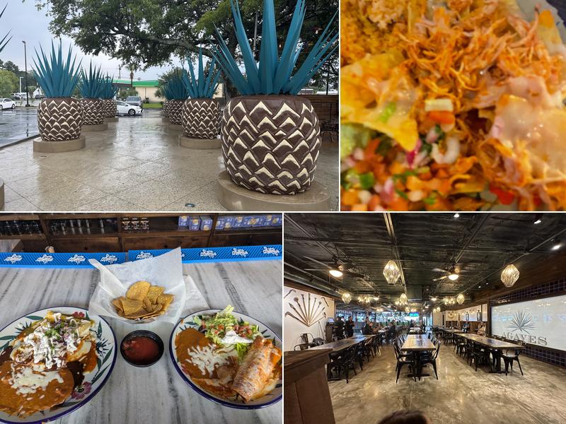 Agaves Cantina Dorchester Rd 10008 Dorchester Rd, Summerville