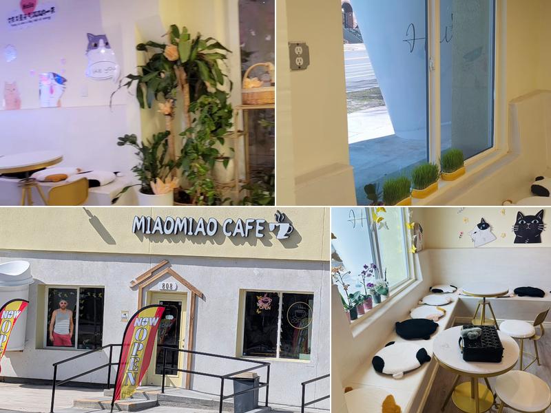 MiaoMiao Cafe