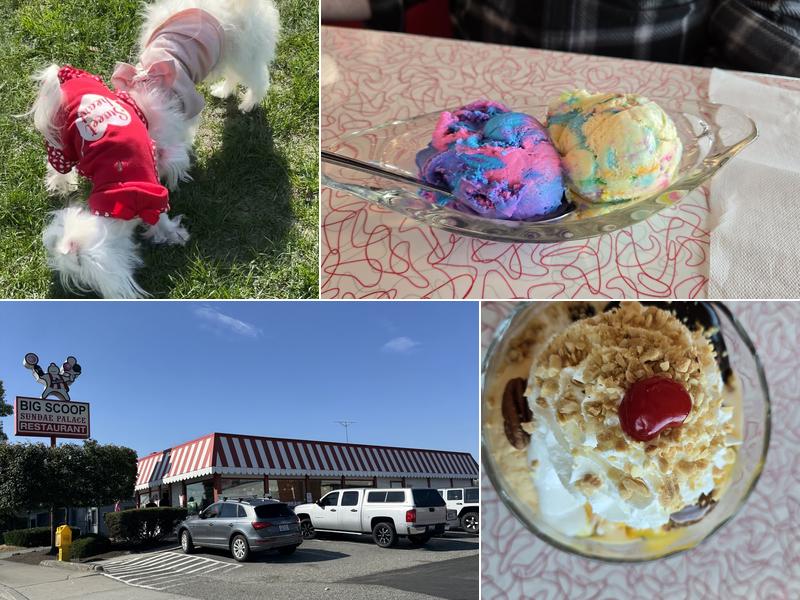 Big Scoop 327 E College Way, Mount Vernon