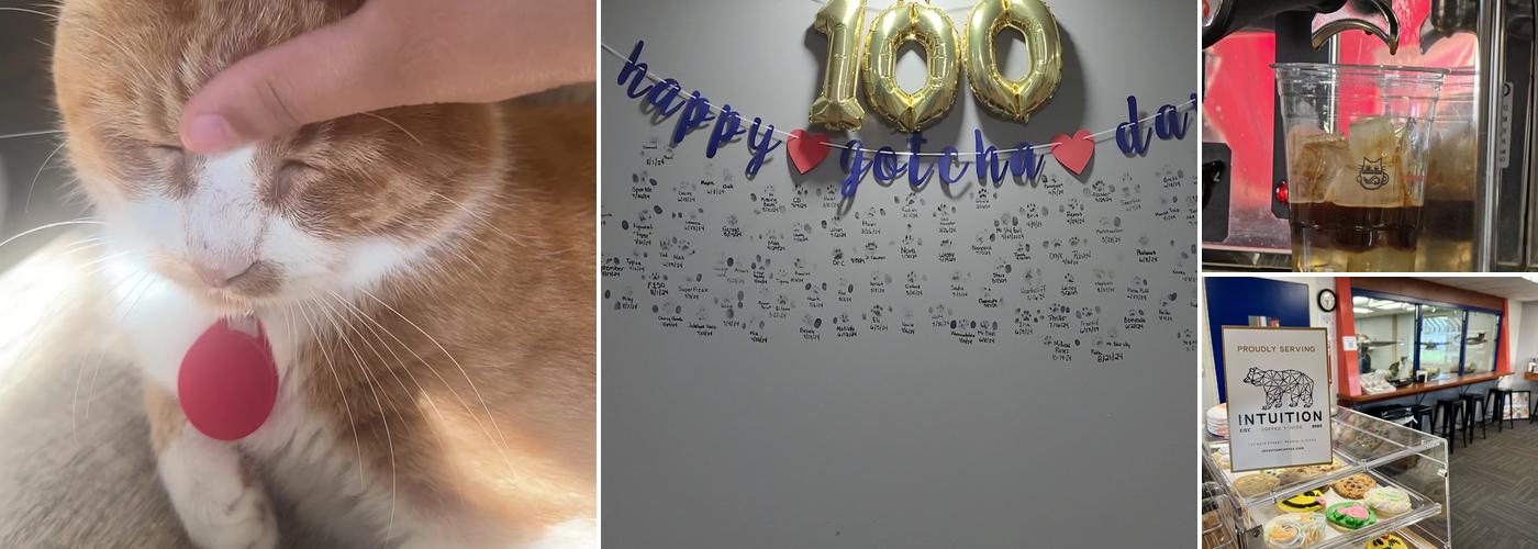 River Kitty Cafe Menu