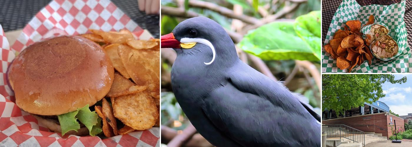 Bird’s Eye Bar & Grill