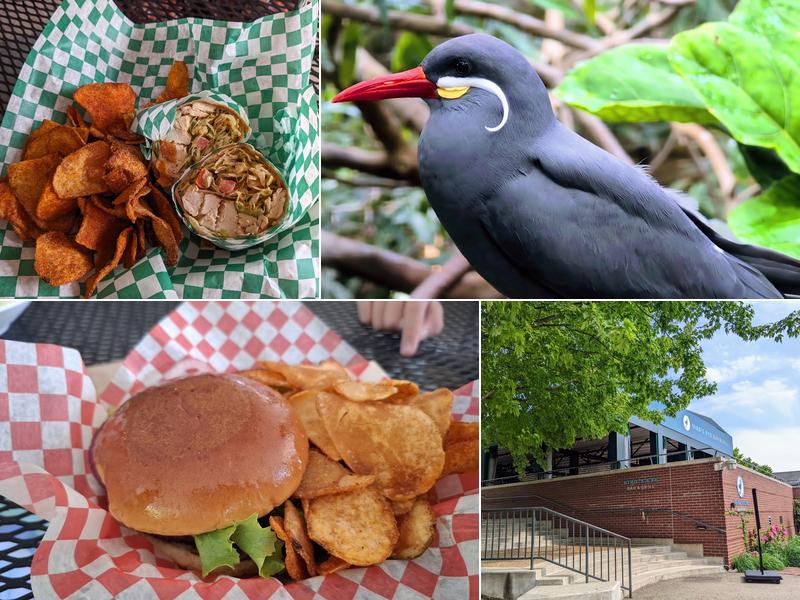 Bird’s Eye Bar & Grill