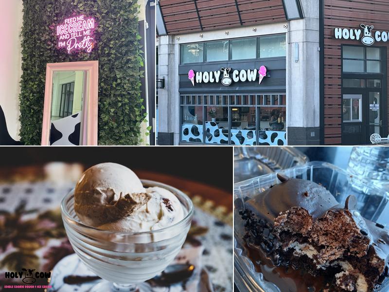 Holy Cow | Edible Cookie Dough & Ice Cream 435 York Rd Suite 110, Towson