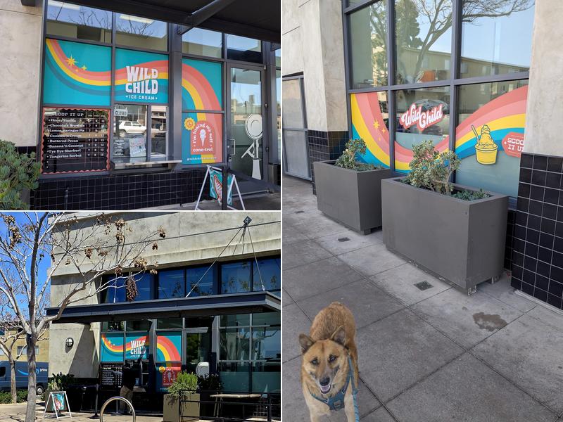 Wild Child Ice Cream