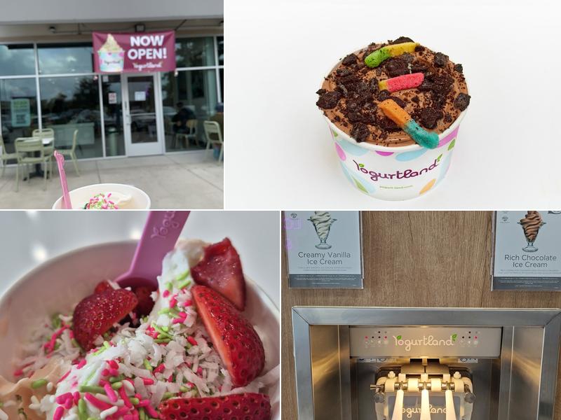 Yogurtland Sugar Land
