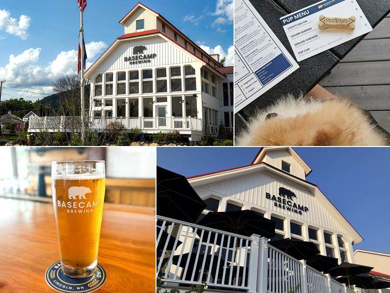 Basecamp Brewing Co.