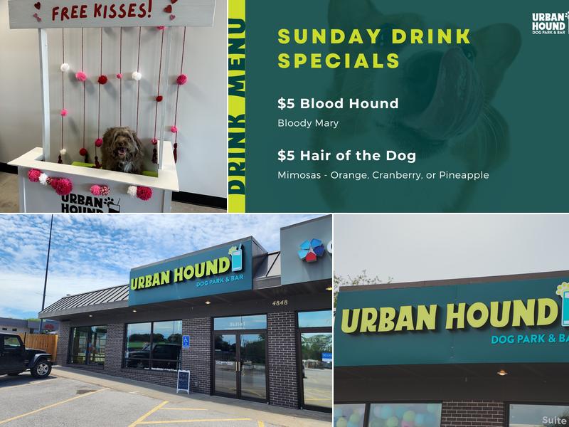 Urban Hound Dog Park & Bar 4848 Van Dorn St #1, Lincoln