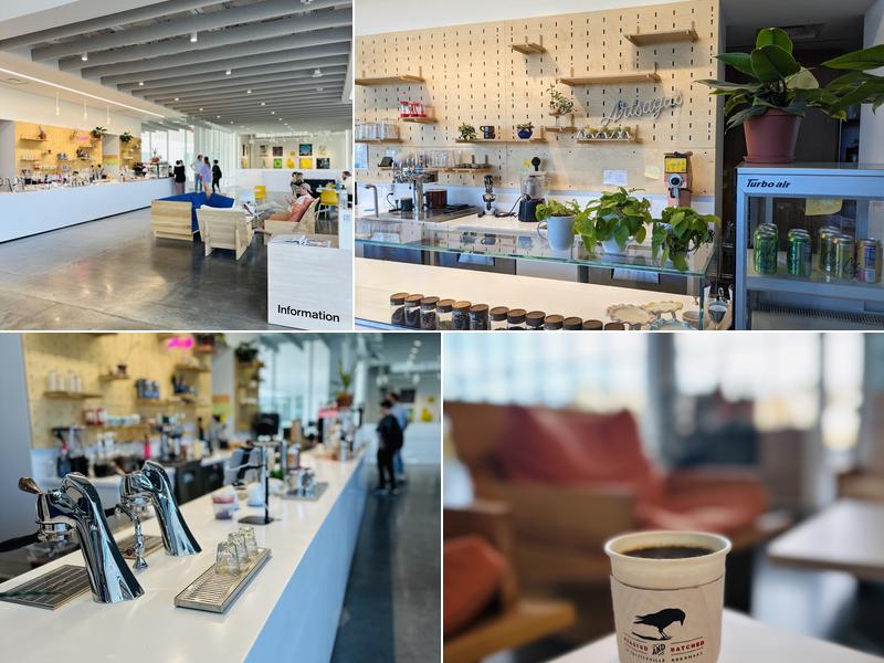 Arsaga's at the School of Art