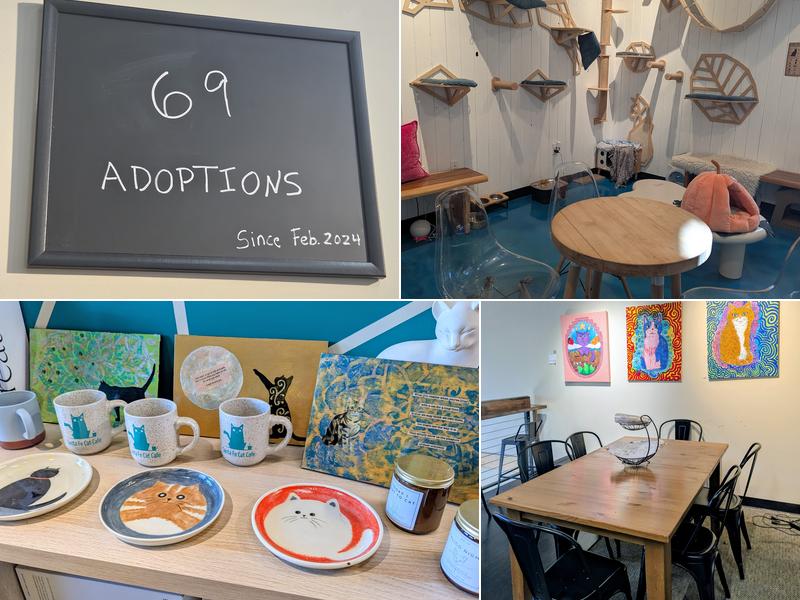 Turquoise Teapot and Cat Cafe 1221 Flagman Way STE B5, Santa Fe