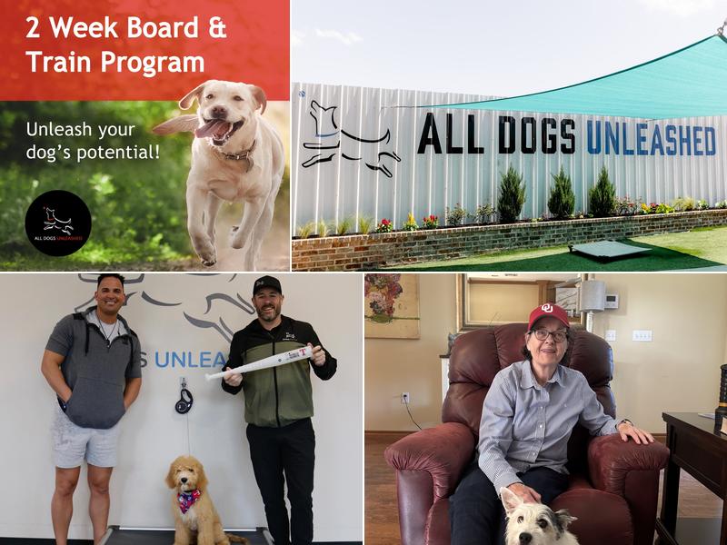 All Dogs Unleashed Dog Training OKC
