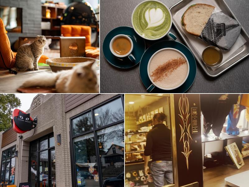 Catzen Coffee 1416 Grand Ave, St Paul