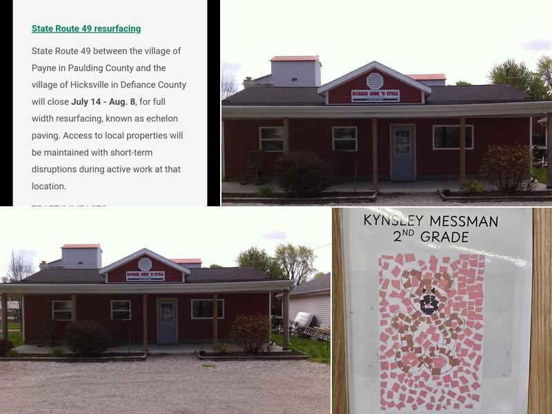 Doggie Sudz 'n Styles