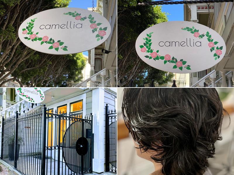 camellia salon
