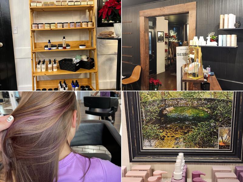 Dragonfly and Lotus Salon