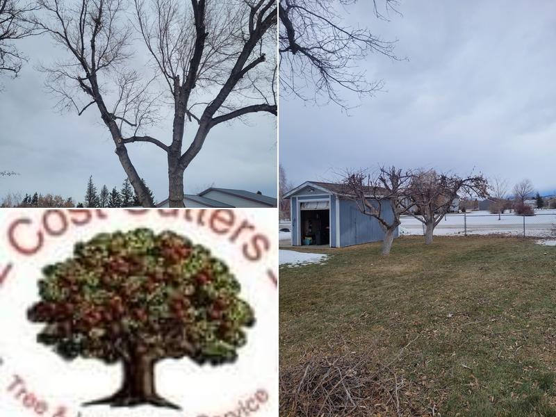 Cost Cutters Tree Service