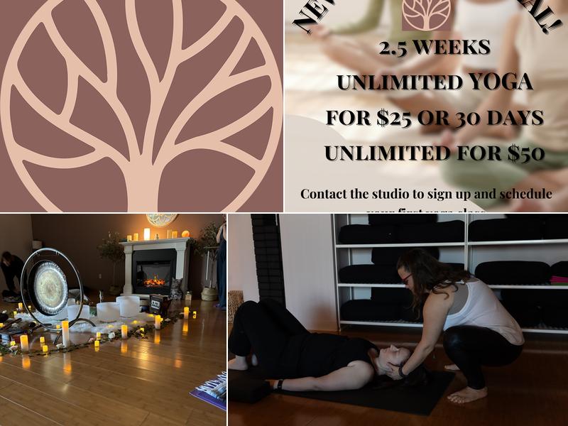 Rooted Wellness Company