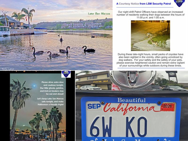 Lake San Marcos Security Ptrl