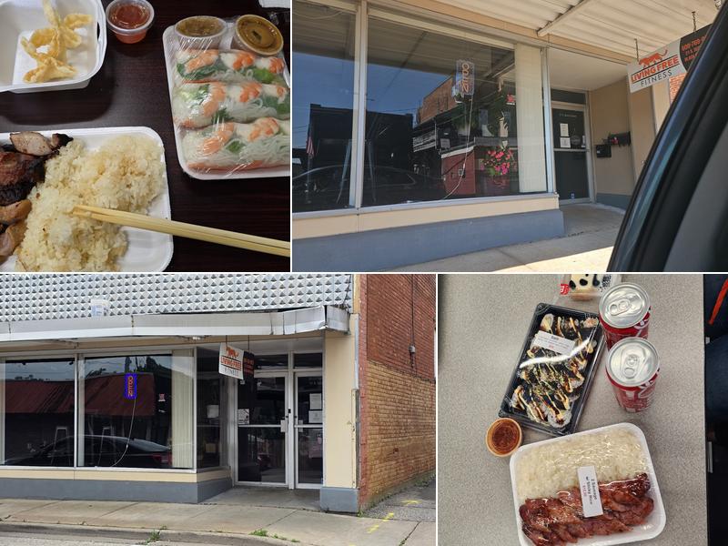 Tea & Treats 21 S 2nd St, Black River Falls