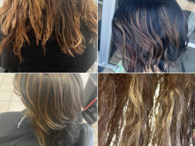 Twisted Scissors Hair Company