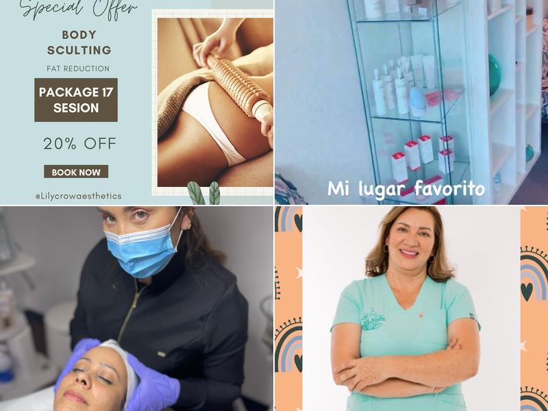 Lily Crow Aesthetics