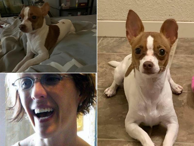 Connie Winters Hair Design