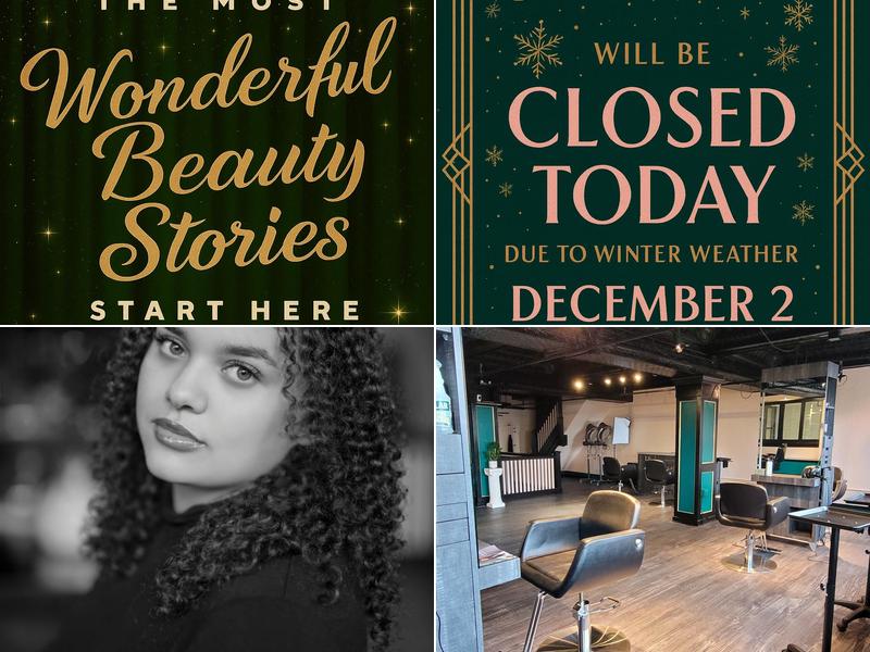 The David O’Shell Studio