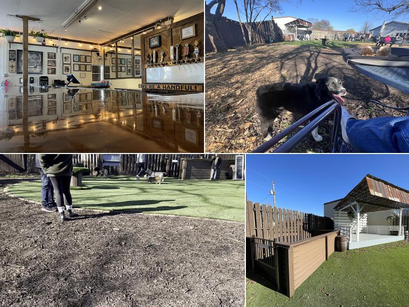 Rocket City Dog Bar 2404 Clinton Ave W, Huntsville