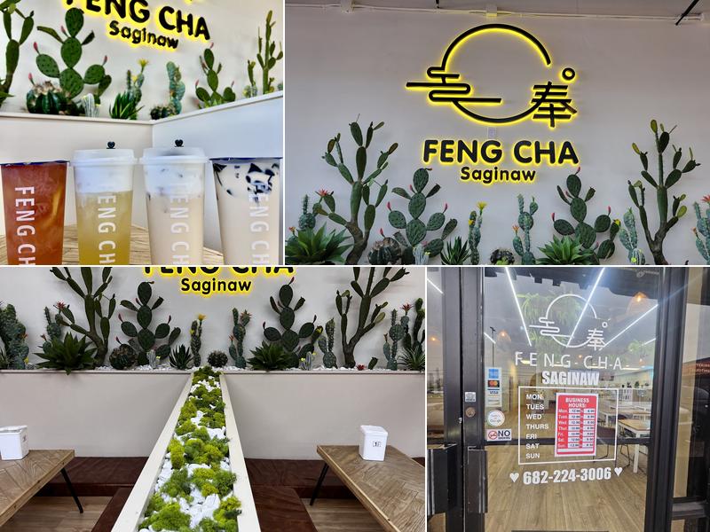 Feng Cha Saginaw 1029 N Saginaw Blvd E8, Saginaw