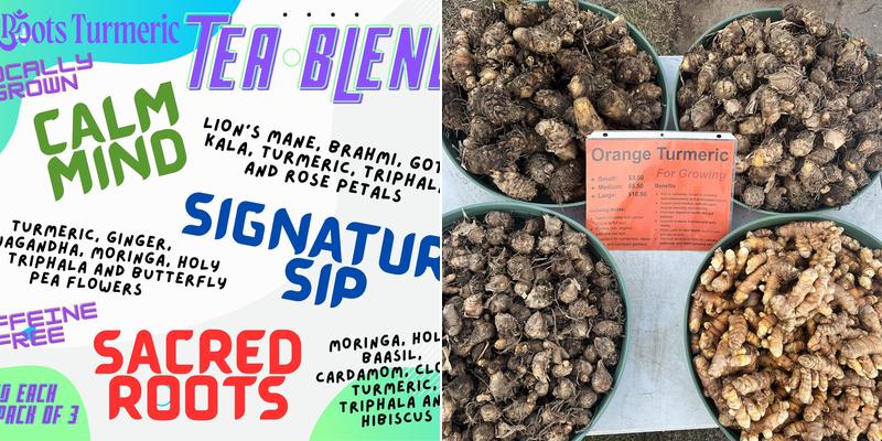 Raw Roots Turmeric 4814 Norfolk Ct, Columbia