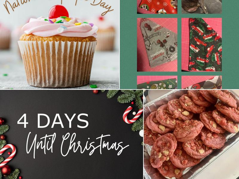 Pup & Cakes 426 Glan Tai Dr, Manchester