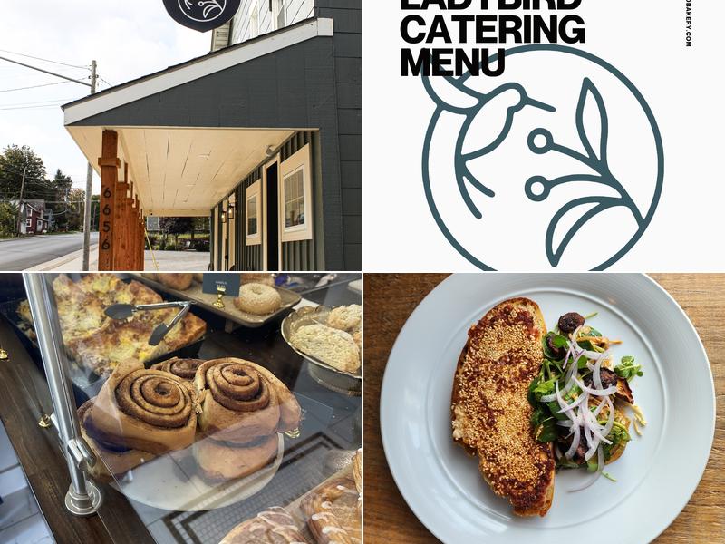 Ladybird 6656 Gowanda State Rd, Hamburg