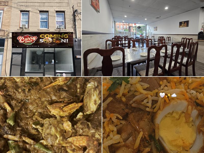 Curry Days 247 Jericho Tpke, New Hyde Park