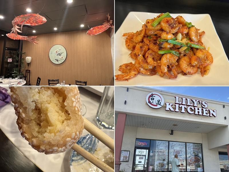 Lily's Kitchen 235 Lancaster Ave, Malvern