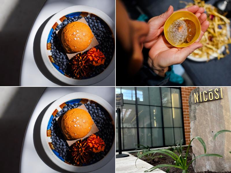 Nicosi 221 Newell Ave, San Antonio