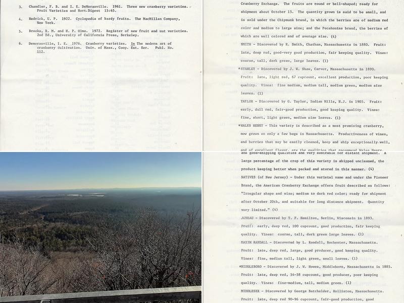 Saddle Mound Pittsville