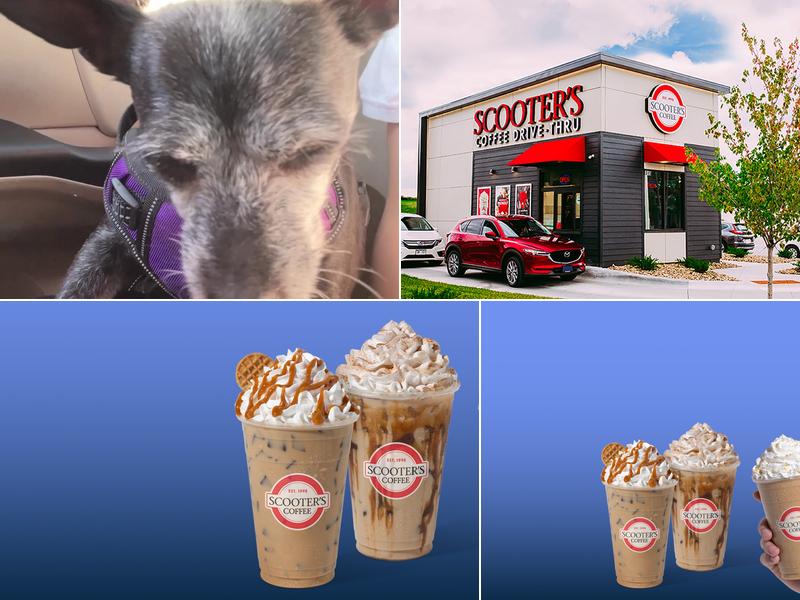 Scooter's Coffee 1935 Battlefield Pkwy, Fort Oglethorpe