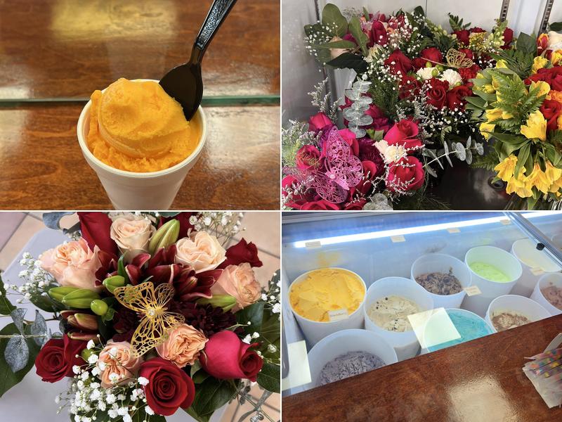 Rika’s Ice Cream 5502 S Dupont Hwy Suite 3, Dover