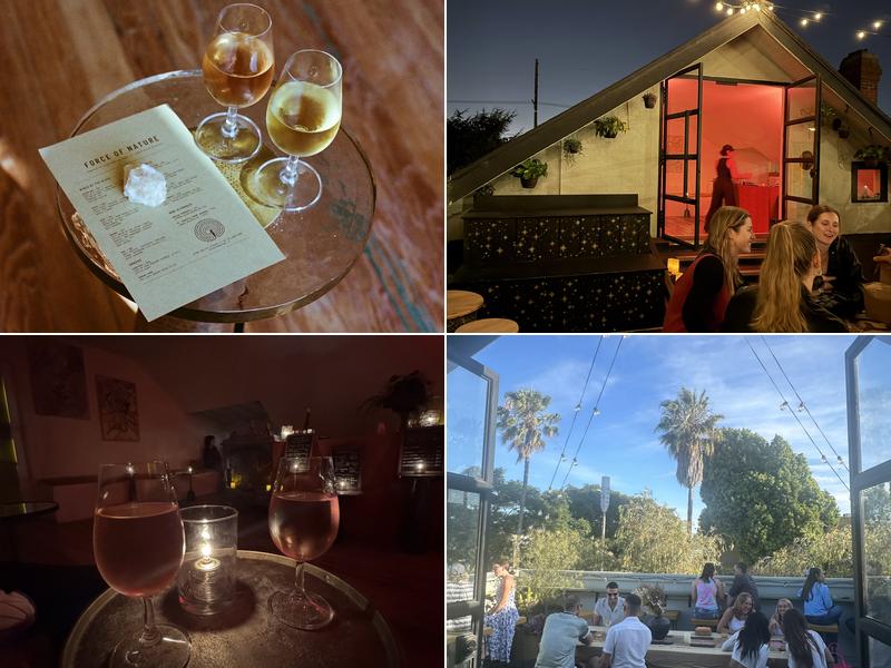 Force of Nature 1031 Abbot Kinney Blvd, Venice