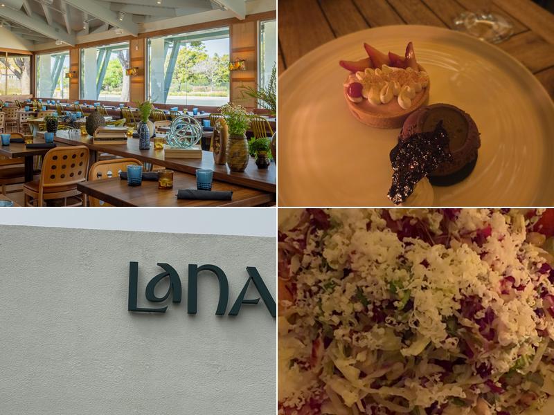 Lana 437 S Hwy 101, Solana Beach