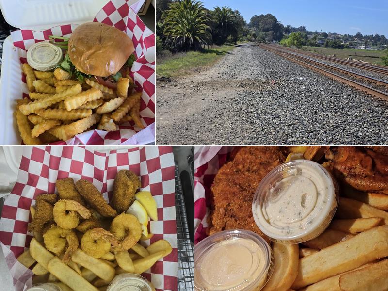 Who Dat Cat 16330 San Pablo Ave, San Pablo